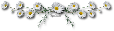 2014-05-16-SEPARATEUR-MARGUERITES.png